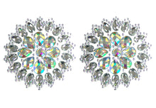 Load image into Gallery viewer, Sexy Reusable Round Flower Rhinestone Pasties